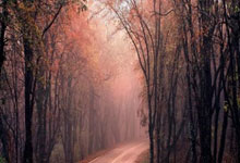 罗本：拜仁需要基米希这种球员；穆勒已经是一位传奇.