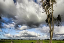 虎扑nba官网：布鲁克斯今天仅在场上打了11分钟，便因与杜兰特冲突被驱逐离场.