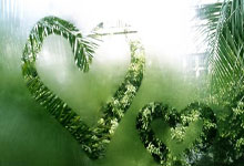 库尔图瓦晒与卢卡库合照：我的兄弟❤️.