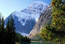 佩顿重伤恐离队！勇士面临续约难题，底薪留人还是放手.